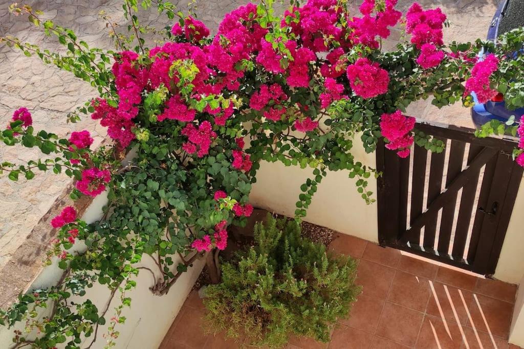 Casa Con Piscina En San Jose Sotillo Εξωτερικό φωτογραφία